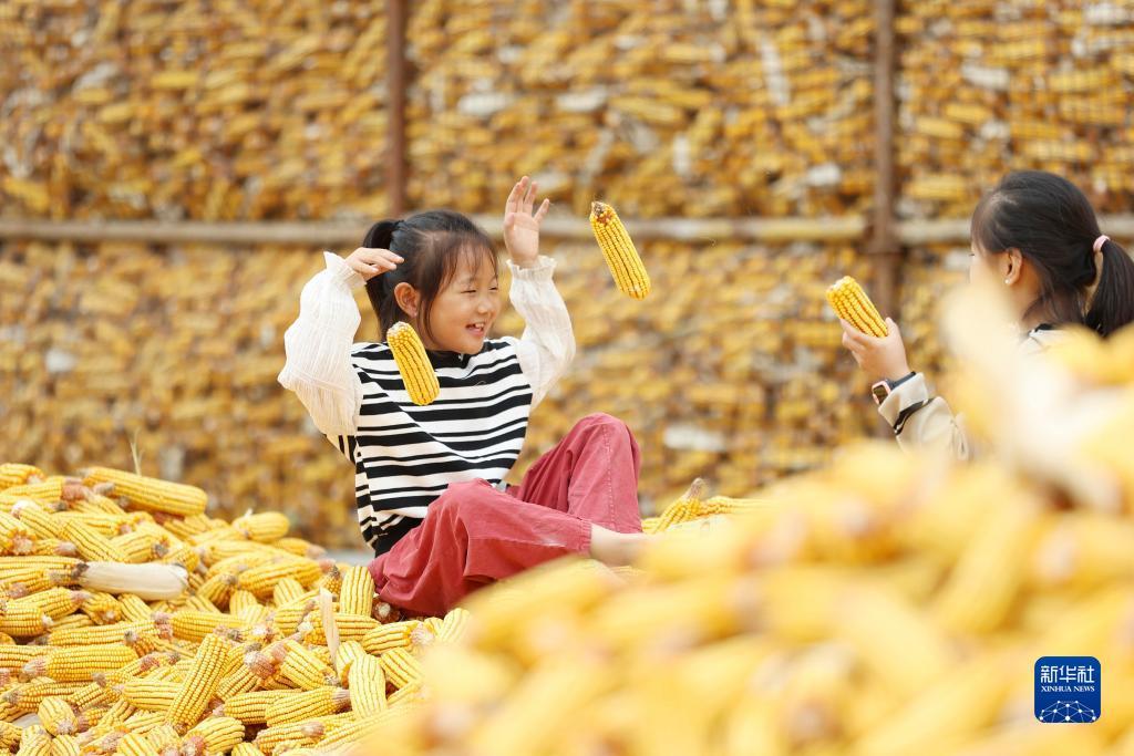 皇冠非正常投注